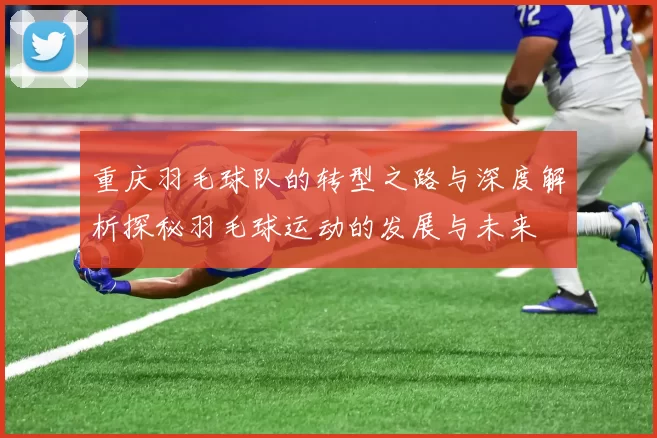 重庆羽毛球队的转型之路与深度解析探秘羽毛球运动的发展与未来